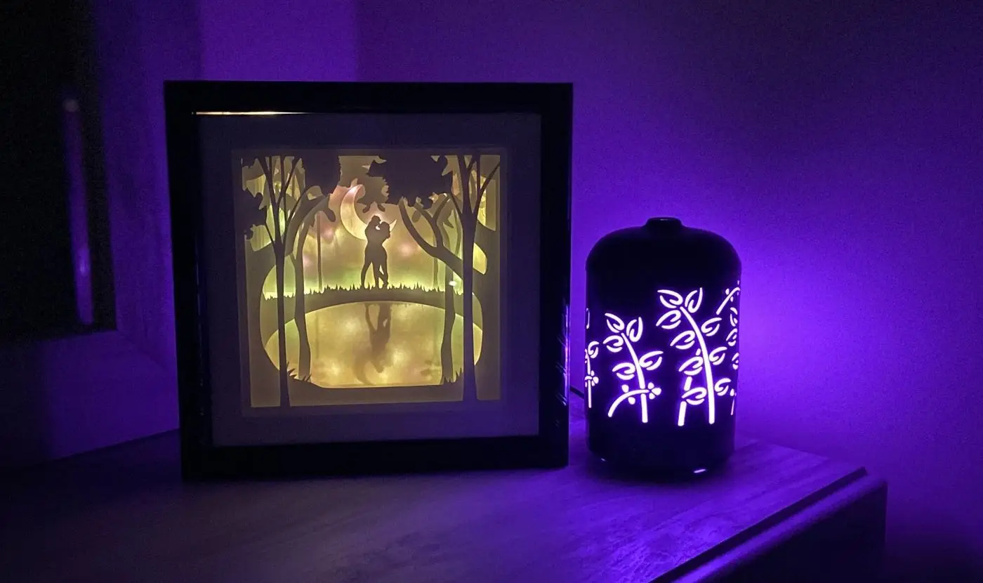 Romantic Couple Shadow Box, 3D Paper Carving Light Up Box, handmade in Waterloo
